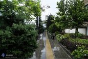 هشدار نارنجی هواشناسی برای تهران/ناپایداری جوی و وزش باد از عصر امروز
