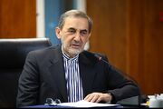 ولایتی: امنیتِ امروزِ باب‌المندب، نباید دشمن را دچار خطای محاسباتی کند
