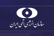 سهم انرژی هسته‌ای در بازگرداندن ۴۰ میلیون تن غذا به سفره مردم