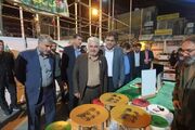 رزمایش «میدان هنر» با حضور مسئولان عالی‌ رتبه استان برگزار شد