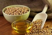 میزان مصرف مجاز روزانه سویا