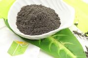 ترکیب طلایی صبحانه؛ نقش سیاه‌دانه و پنیر در تقویت عملکرد ذهنی