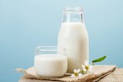 یافته‌های تازه درباره شیر؛ فواید برای قلب، اما ابهام درباره سرطان