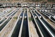 رتبه سوم شهرستان شوشتر در حوزه آبزی‌پروری در خوزستان