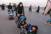 دانشجوبان سفیران دانش در مسیر اربعین می باشند