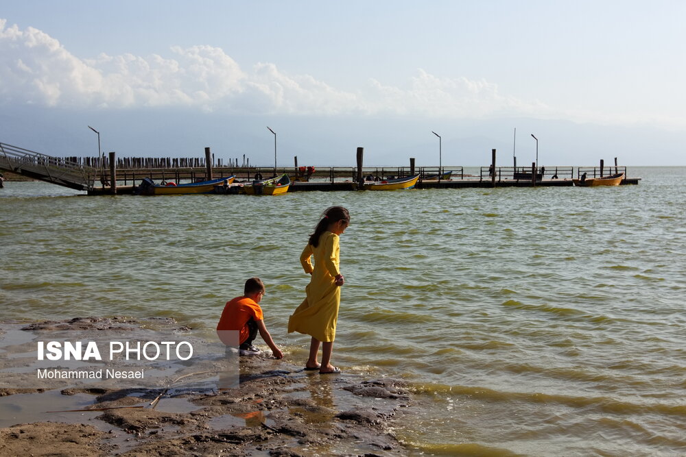 خشکیدن خلیج گرگان، تهدید زنجیرهای برای اکوسیستم و معیشت مردم