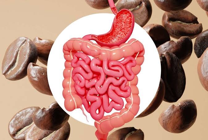 تحقیقات جدید: قهوه تاثیرات شگفتانگیزی بر روده و مغز دارد