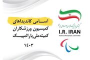 رقابت ۱۷ پارالمپیکی برای شرکت در انتخابات کمیسیون ورزشکاران