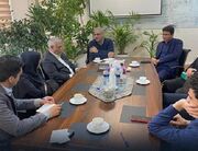 پیگیری افزایش اعتبارات و تسهیلات اشتغال‌ روستایی کرمان در دیدار با معاون وزیر کار