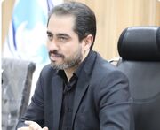 زیرساخت های صادرات؛ حلقه مفقوده زنجیره ارزش زیتون رودبار