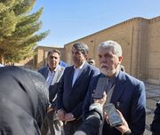 وزیر ارشاد: موزه صنعتی کرمان یکی از گنجینه‌های مهم هنرهای معاصر ایران است