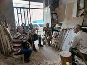 نگاهی به تخریب جنگل‌های هیرکانی و دلایل آن