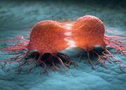 کاهش بار سرطان در جامعه از طریق پیوند موثر پژوهش‌ها و خدمات بالینی