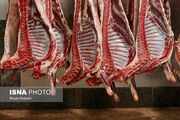 قیمت گوشت در کردستان کاهشی شد