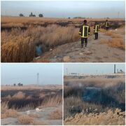 استانداری: دود سیاه در آسمان قم ناشی از سوزاندان ضایعات در حاشیه نیزار بود