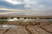 تالاب‌های قزوین؛ از فریاد خشکسالی تا نجوای امید