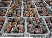 ذخیره‌سازی ۵۰۰۰ تن خرمای کبکاب در خوزستان برای ماه رمضان