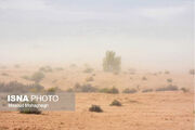۱۴ شهرستان شمال استان کرمان تحت تأثیر جدی فرسایش بادی است