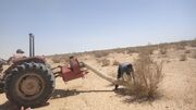مهار ملخ کوهان‌دار تاغ در شهرستان دامغان
