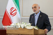 صالحی: باید با زبان بین‌المللی ملت را از بحران خارج کنیم
