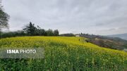 رگبار و کاهش محسوس دما در راه مازندران/ ناپایداری جوی از عصر جمعه آغاز می‌شود