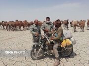 اجرای طرح مشترک برای صیانت از هامون و مقابله با چرای غیرمجاز دام