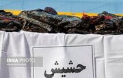قاچاق «حشیش»، دومین بازار سودآور غیرقانونی جهان بعد از تجارت تسلیحات