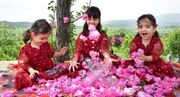 سومین جشنواره گلاب‌گیری با محوریت معرفی گردشگری کشاورزی در بانە برگزار می‌شود