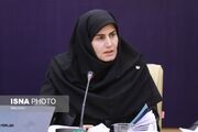 معاون استاندار زنجان: حمایت از سرمایه‌گذاران بخش خصوصی اولویت مدیران است