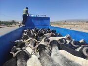 صادرات ۶۴ هزار رأس دام زنده از فسا به ۱۱ استان کشور