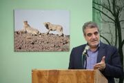 مدیریت چالش‌های محیط زیستی استان نیازمند هم‌افزایی و فرهنگ‌ سازی عمومی است
