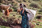 فرماندار دشتی: توزیع عادلانه خدمات میان عشایر ضروری است