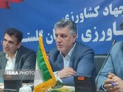 صادرات سیب زمینی بدون محدودیت ادامه دارد؛ تامین کافی گوشت مرغ در گلستان