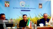 مدیر جهاد کشاورزی آمل: کشاورزی قراردادی و توسعه صادرات، راهکار تقویت زنجیره تولید برنج است