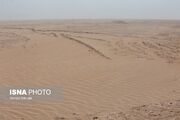 قاچاق چوب طاق و چرای بی‌رویه؛ عوامل تشدید بیابان‌زایی/کاشت نخل در قم نشانه تعییر اقلیم