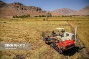 رتبه نخست گیلان در پرداخت تسهیلات مکانیزاسیون کشاورزی