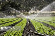 تجهیز بیش از ۷۷ هکتار از اراضی کشاورزی ایلام به سامانه‌های نوین آبیاری