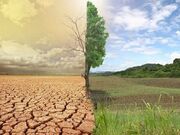 بیابان‌زدایی موثر نیازمند برنامه‌ریزی بلندمدت است