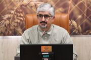 ضرورت مدیریت هوشمند مصرف انرژی در بخش کشاورزی فارس