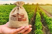 بررسی عوامل راه‌اندازی کسب‌وکارهای نوپا در یک صنعت مهم