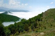 سند مدیریت پایدار جنگل‌های زاگرس نهایی شد