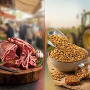 سویا در بازار داخلی ماند/ گوشت ارزان‌تر می‌شود؟