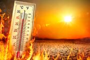 بهترین و بدترین غذاها در طول موج گرما