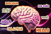 صحبت کردن به چند زبان، سرعت پیری مغز را کم می‌کند