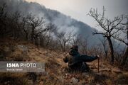 کاهش حریق در منابع طبیعی کرمانشاه/ مهار به‌موقع مانع از خسارت به جنگل‌ها شده است