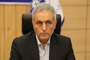 تاکید معاون وزارت جهاد کشاورزی بر ضرورت شکستن انحصار در تامین بذر