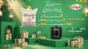 جشنواره «پلویی‌ها و چلویی‌ها» طبیعت؛ جشنی برای طعم و اصالت برنج ایرانی