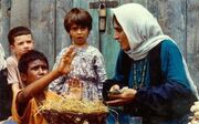 «باشو غریبه کوچک» از نگاهی دیگر