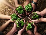 مدیریت ذخایر راهبردی و حمایت از تولید داخلی؛ از مهم‌ترین الزامات حفظ امنیت غذایی کشور