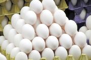 معمای تخم‌مرغ ۶۰۰هزارتومانی/ چرا مازاد تولید هم جلوی گرانی را نمی‌گیرد؟
